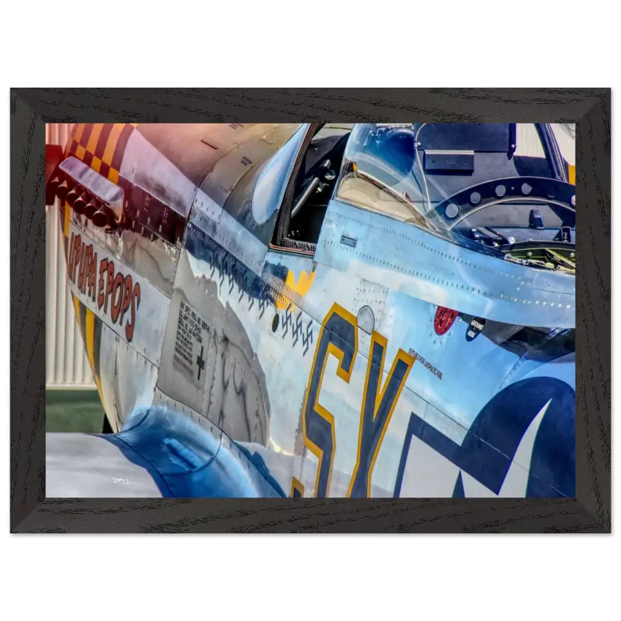 P-51D Mustang - Detail and Power - Print Material - Gifts for pilots - Aviation apparel