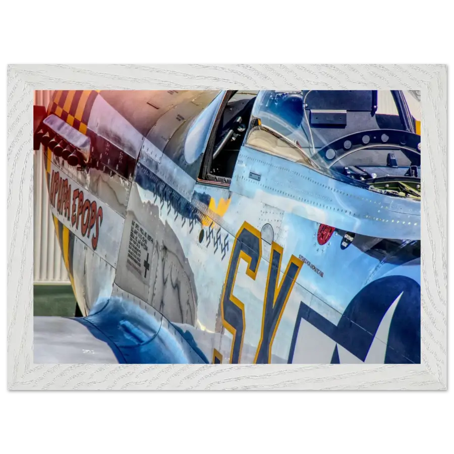 P-51D Mustang - Detail and Power - Print Material - Gifts for pilots - Aviation apparel