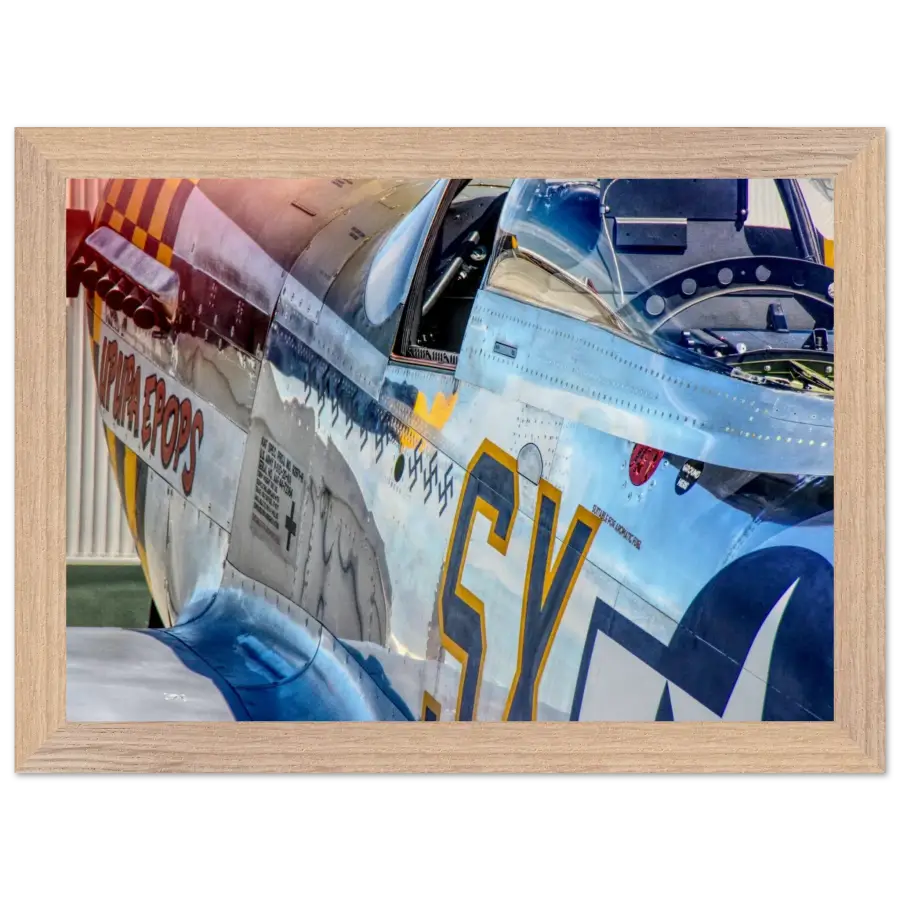 P-51D Mustang - Detail and Power - Print Material - Gifts for pilots - Aviation apparel
