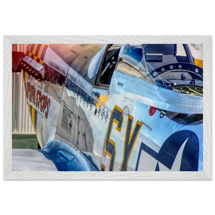 P-51D Mustang - Detail and Power - Print Material - Gifts for pilots - Aviation apparel