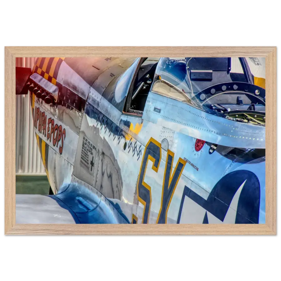 P-51D Mustang - Detail and Power - Print Material - Gifts for pilots - Aviation apparel