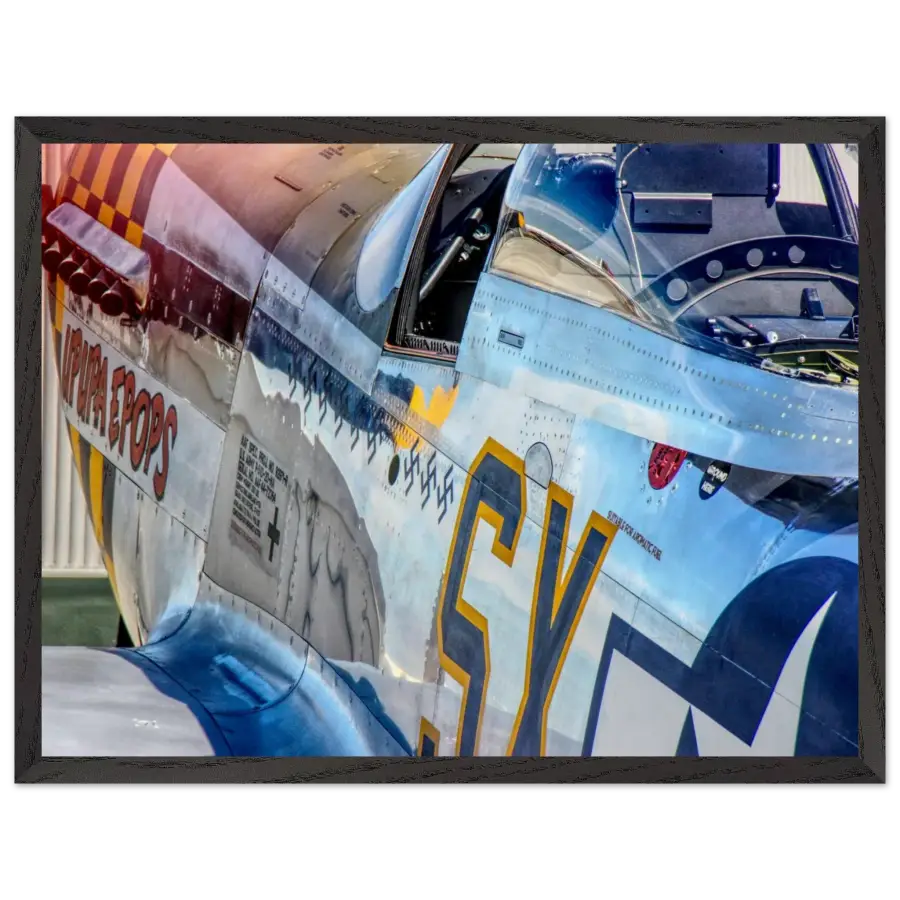 P-51D Mustang - Detail and Power - Print Material - Gifts for pilots - Aviation apparel