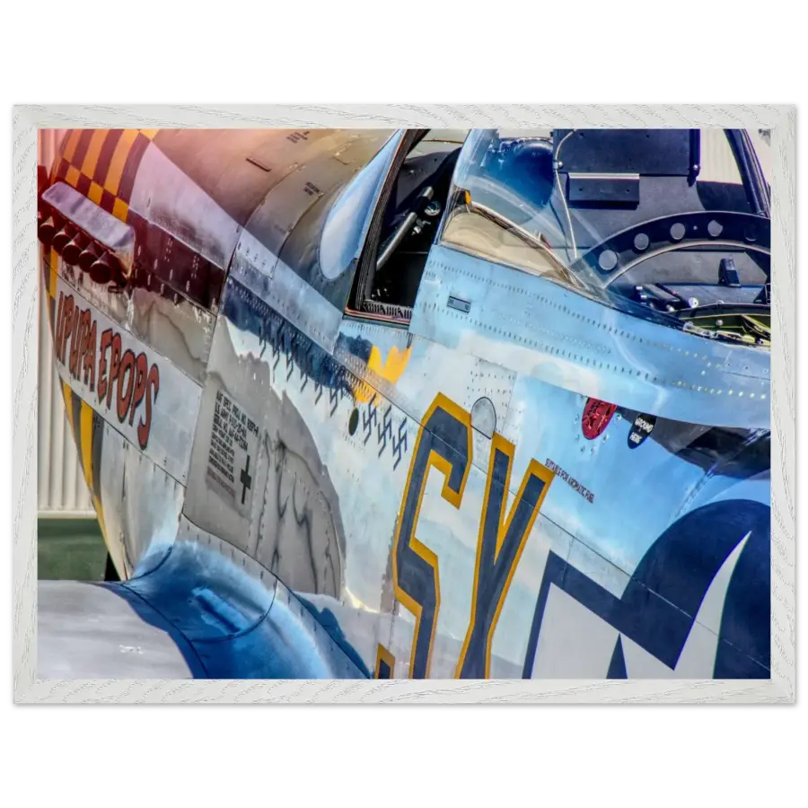 P-51D Mustang - Detail and Power - Print Material - Gifts for pilots - Aviation apparel