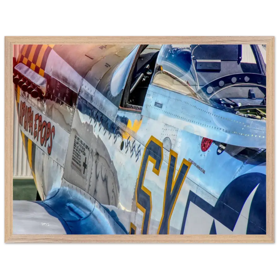 P-51D Mustang - Detail and Power - Print Material - Gifts for pilots - Aviation apparel