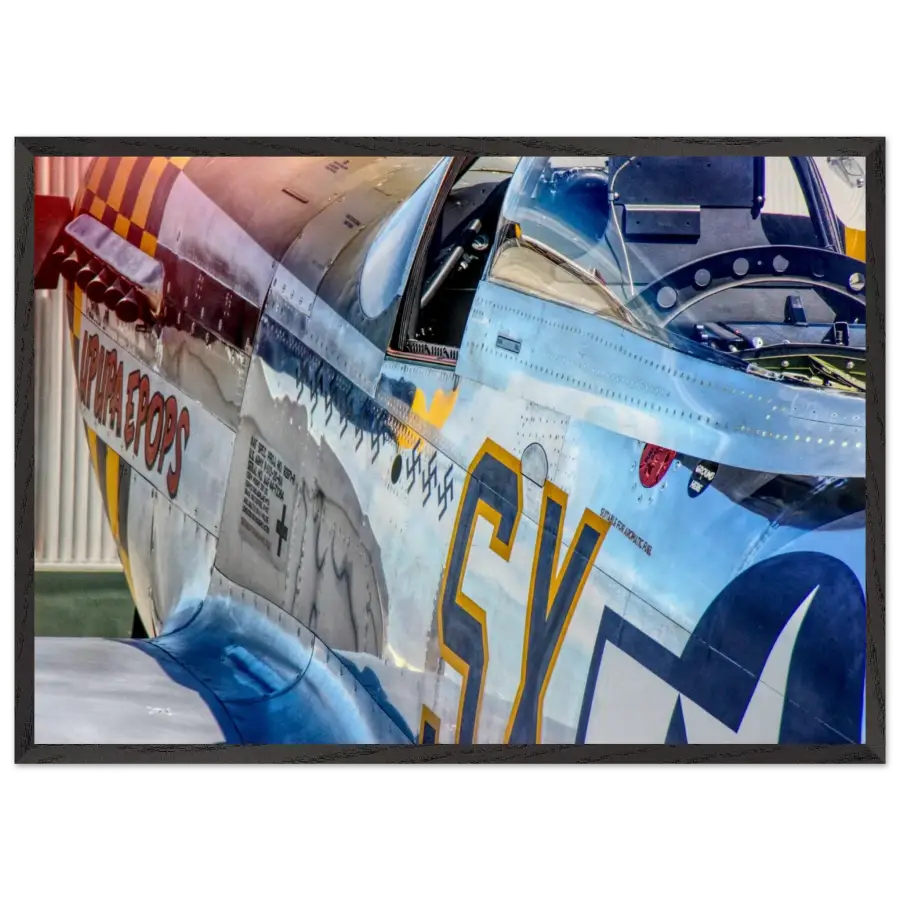 P-51D Mustang - Detail and Power - Print Material - Gifts for pilots - Aviation apparel