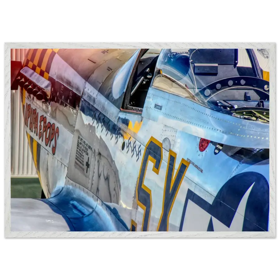 P-51D Mustang - Detail and Power - Print Material - Gifts for pilots - Aviation apparel