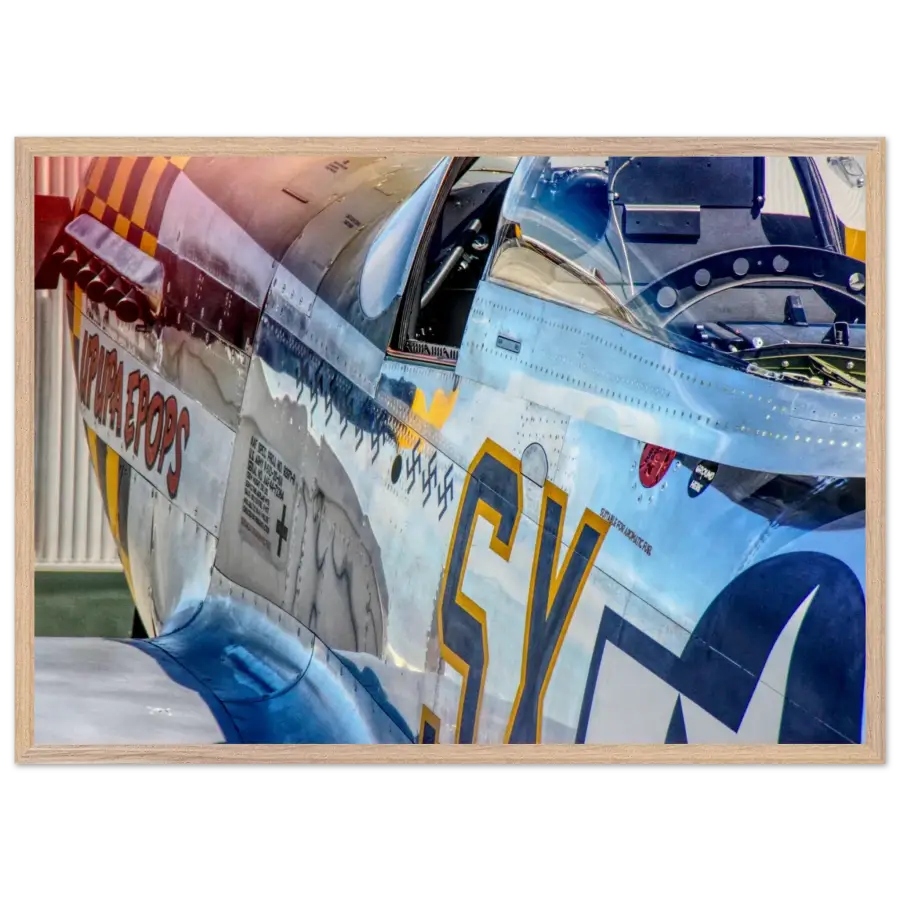 P-51D Mustang - Detail and Power - Print Material - Gifts for pilots - Aviation apparel