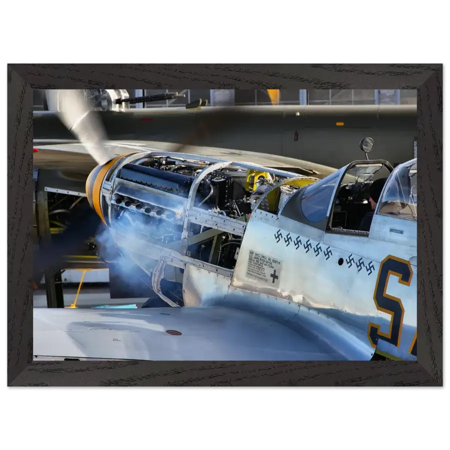 P-51D Mustang - Waking the Beast - Print Material - Gifts for pilots - Aviation apparel
