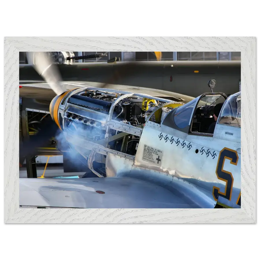P-51D Mustang - Waking the Beast - Print Material - Gifts for pilots - Aviation apparel