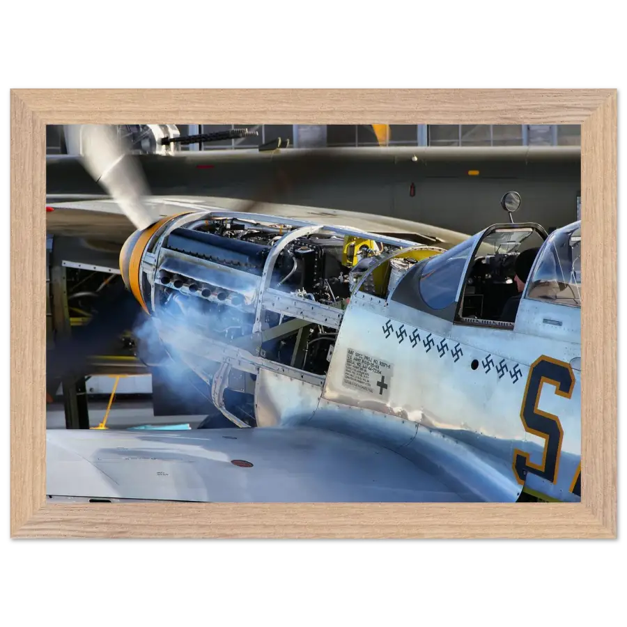 P-51D Mustang - Waking the Beast - Print Material - Gifts for pilots - Aviation apparel