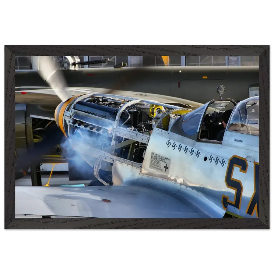 P-51D Mustang - Waking the Beast - Print Material - Gifts for pilots - Aviation apparel