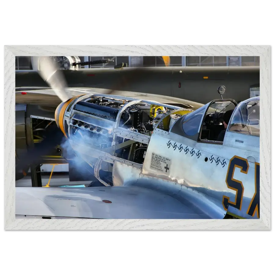 P-51D Mustang - Waking the Beast - Print Material - Gifts for pilots - Aviation apparel