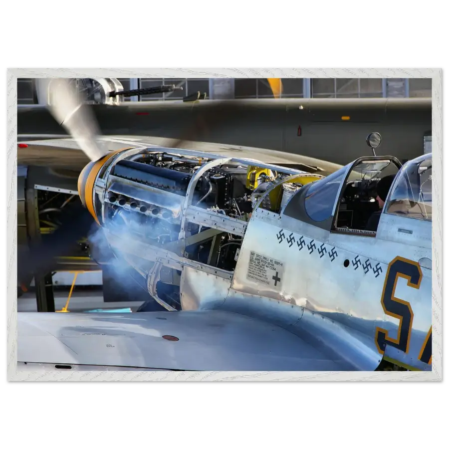 P-51D Mustang - Waking the Beast - Print Material - Gifts for pilots - Aviation apparel