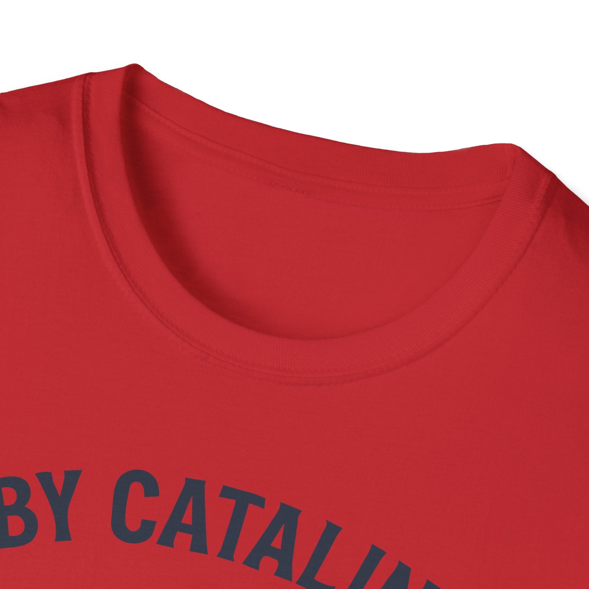 PBY Premium T-Shirt – Consolidated Catalina WWII Flying Boat Tee - Pilot gifts - warbird t-shirt