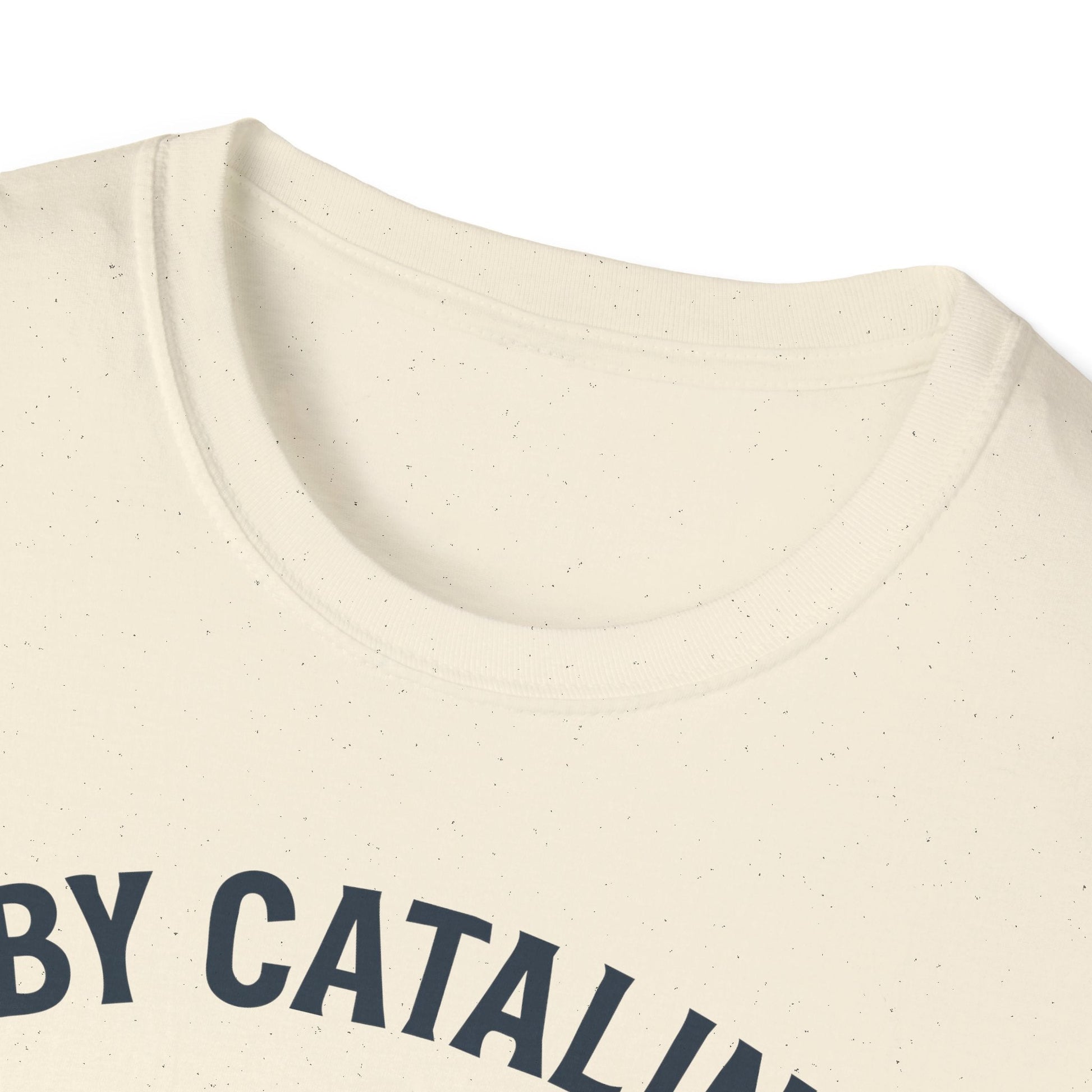 PBY Premium T-Shirt – Consolidated Catalina WWII Flying Boat Tee - Pilot gifts - warbird t-shirt