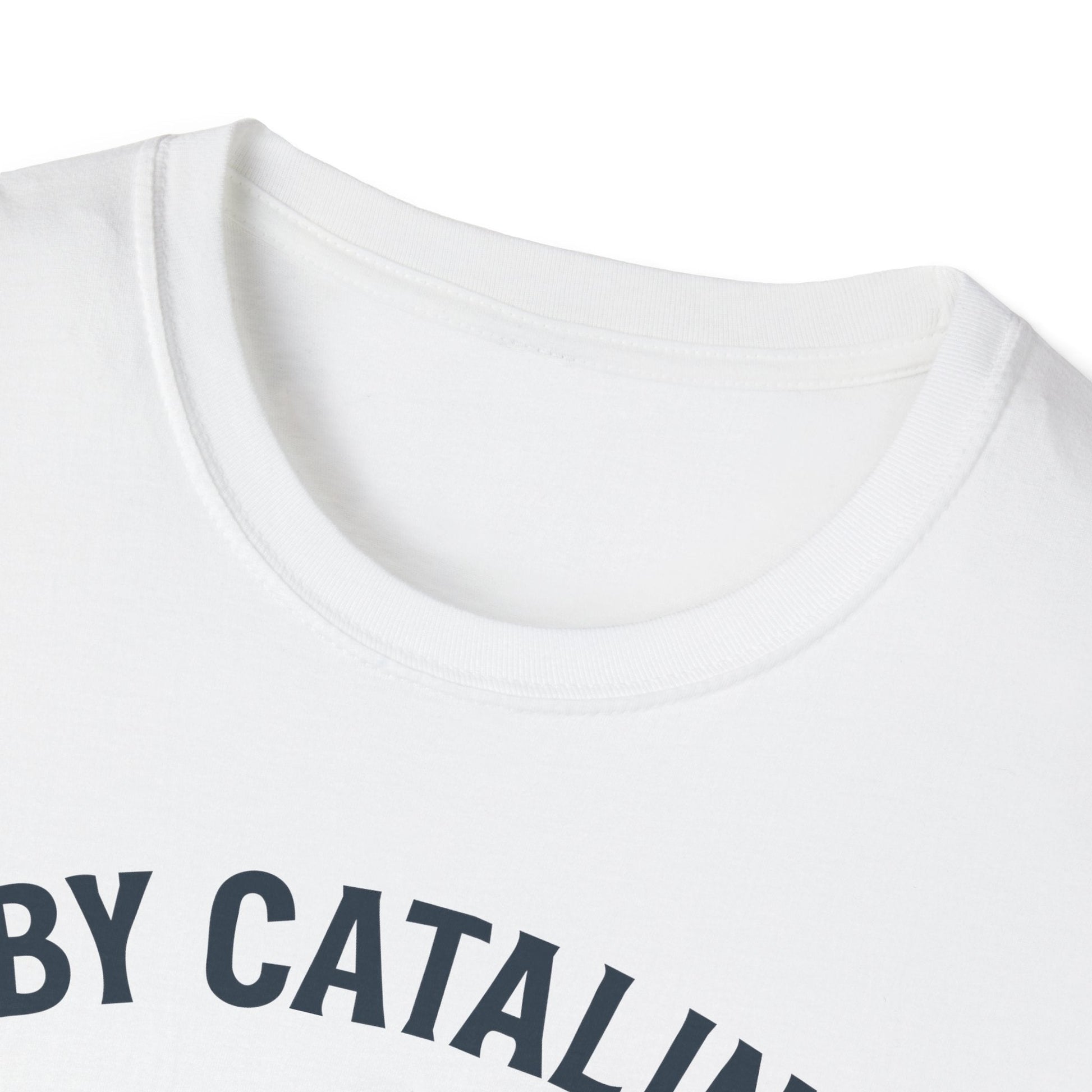 PBY Premium T-Shirt – Consolidated Catalina WWII Flying Boat Tee - Pilot gifts - warbird t-shirt