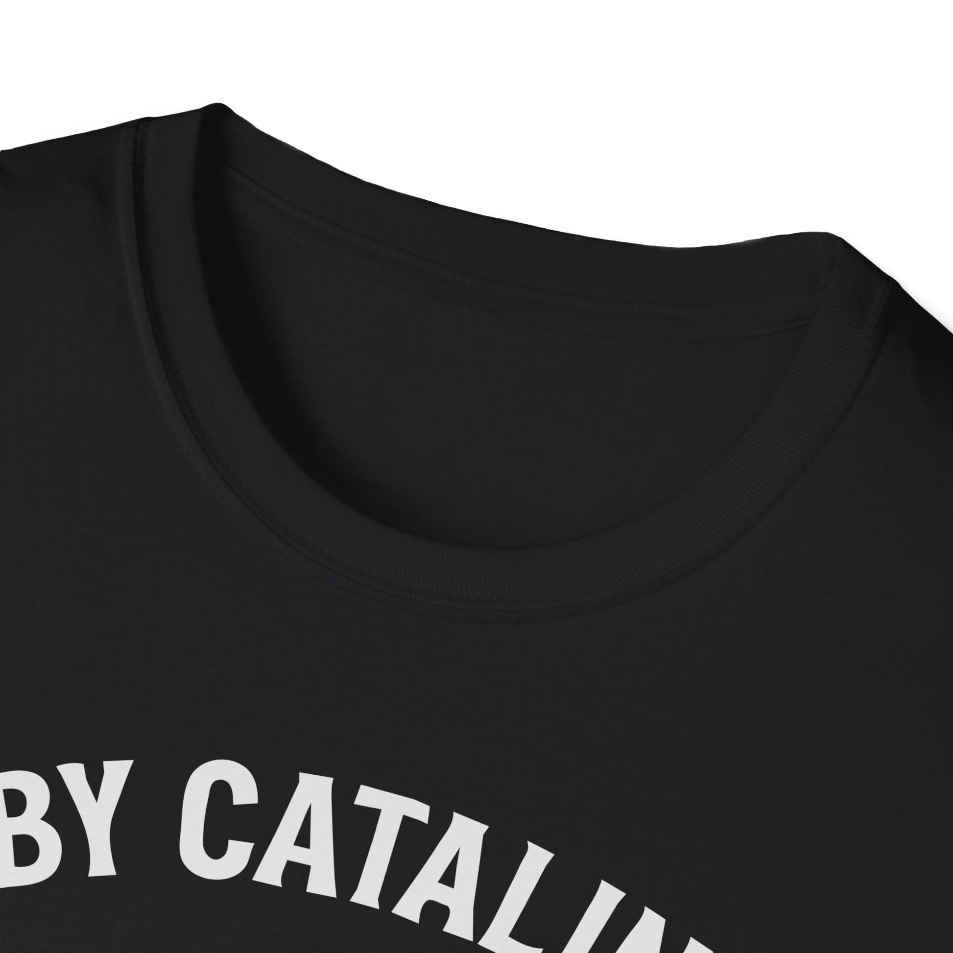 PBY Premium T-Shirt – Consolidated Catalina WWII Flying Boat Tee - Pilot gifts - warbird t-shirt