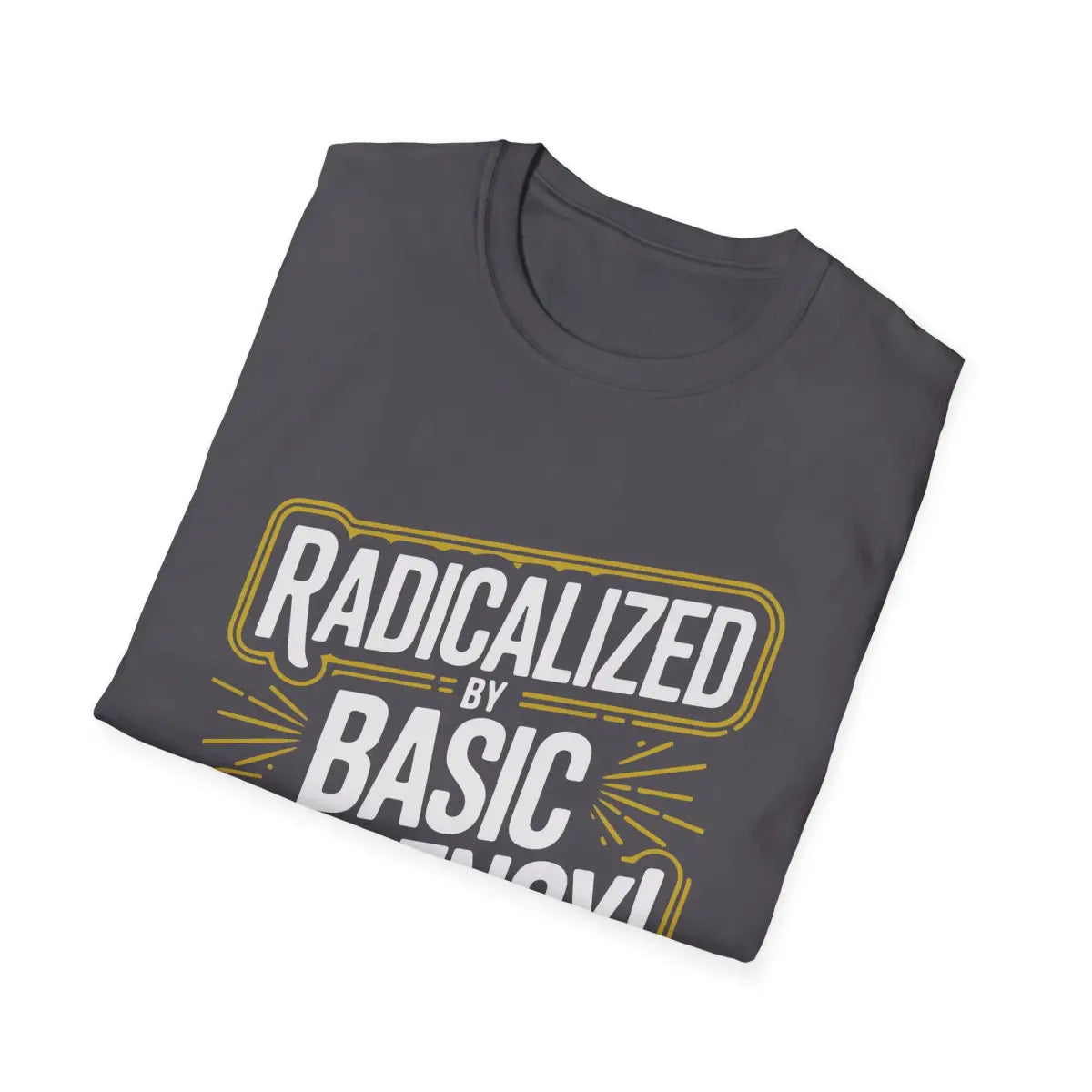Radicalized by Basic Decency T-Shirt - Pilot gifts - WWII warbird t-shirt