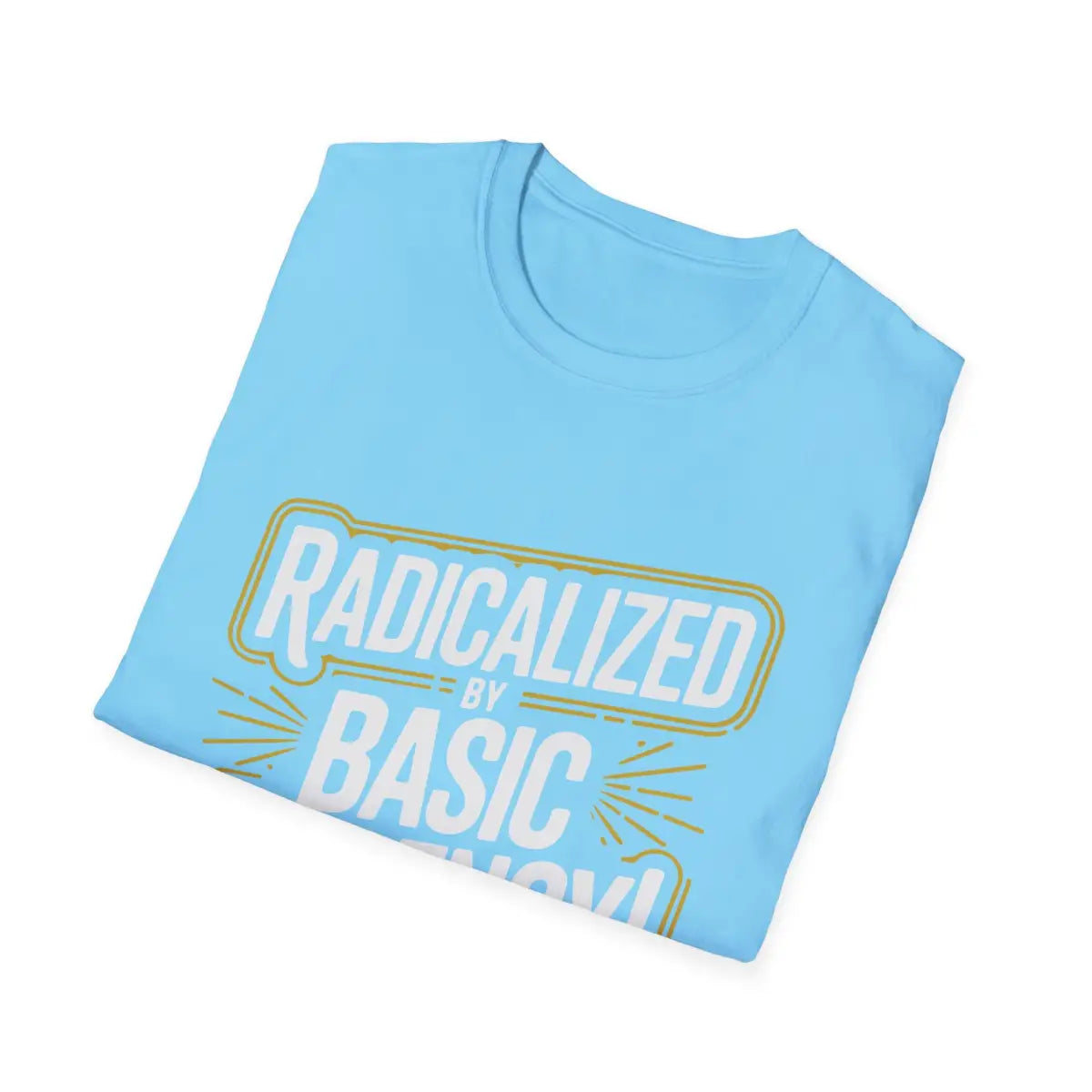 Radicalized by Basic Decency T-Shirt - Pilot gifts - WWII warbird t-shirt