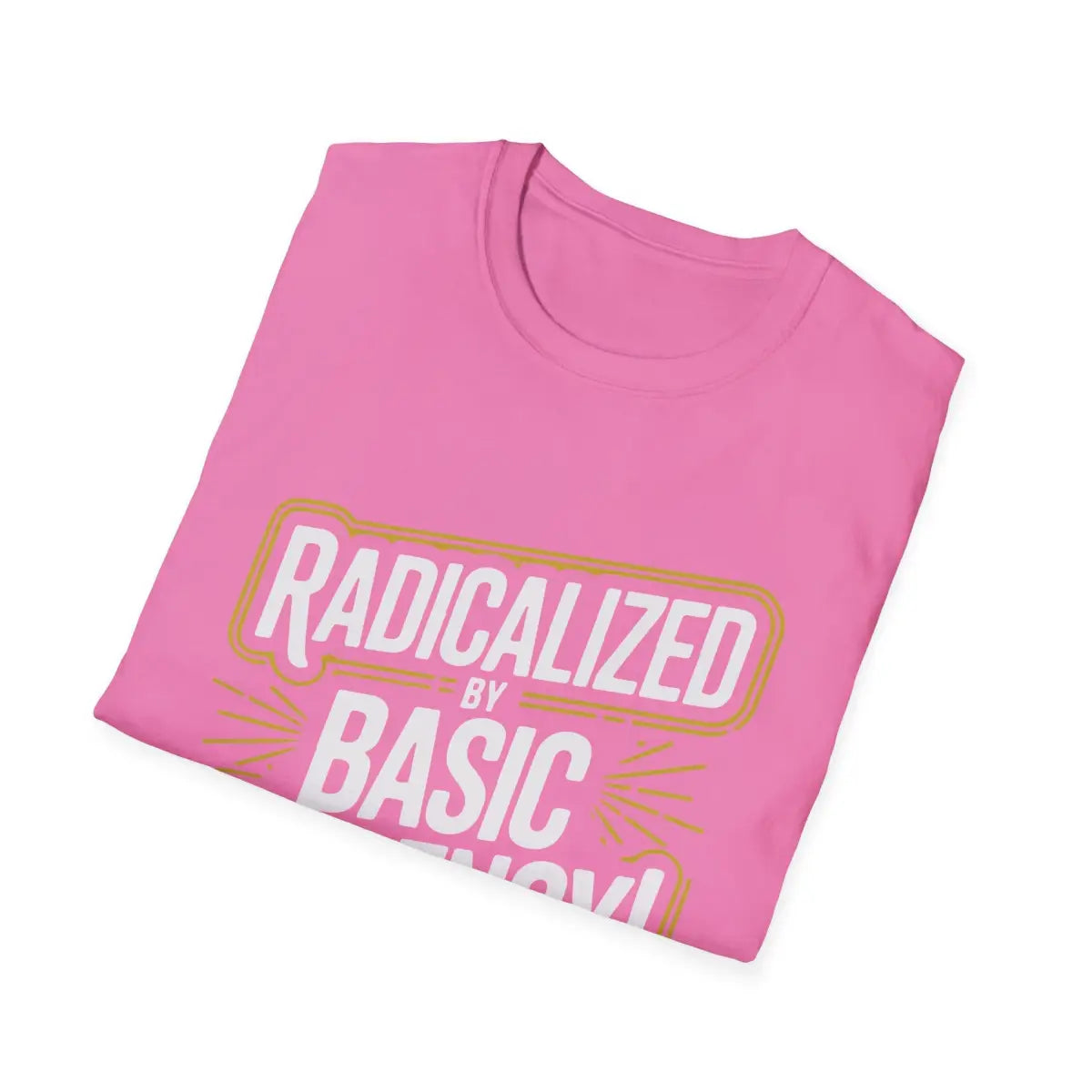 Radicalized by Basic Decency T-Shirt - Pilot gifts - WWII warbird t-shirt