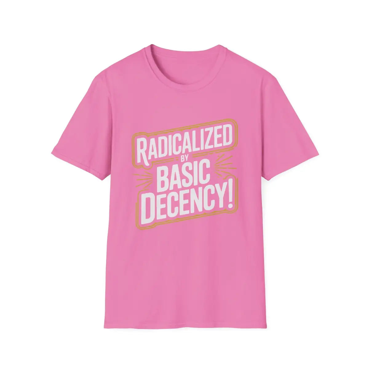 Radicalized by Basic Decency T-Shirt - Pilot gifts - WWII warbird t-shirt