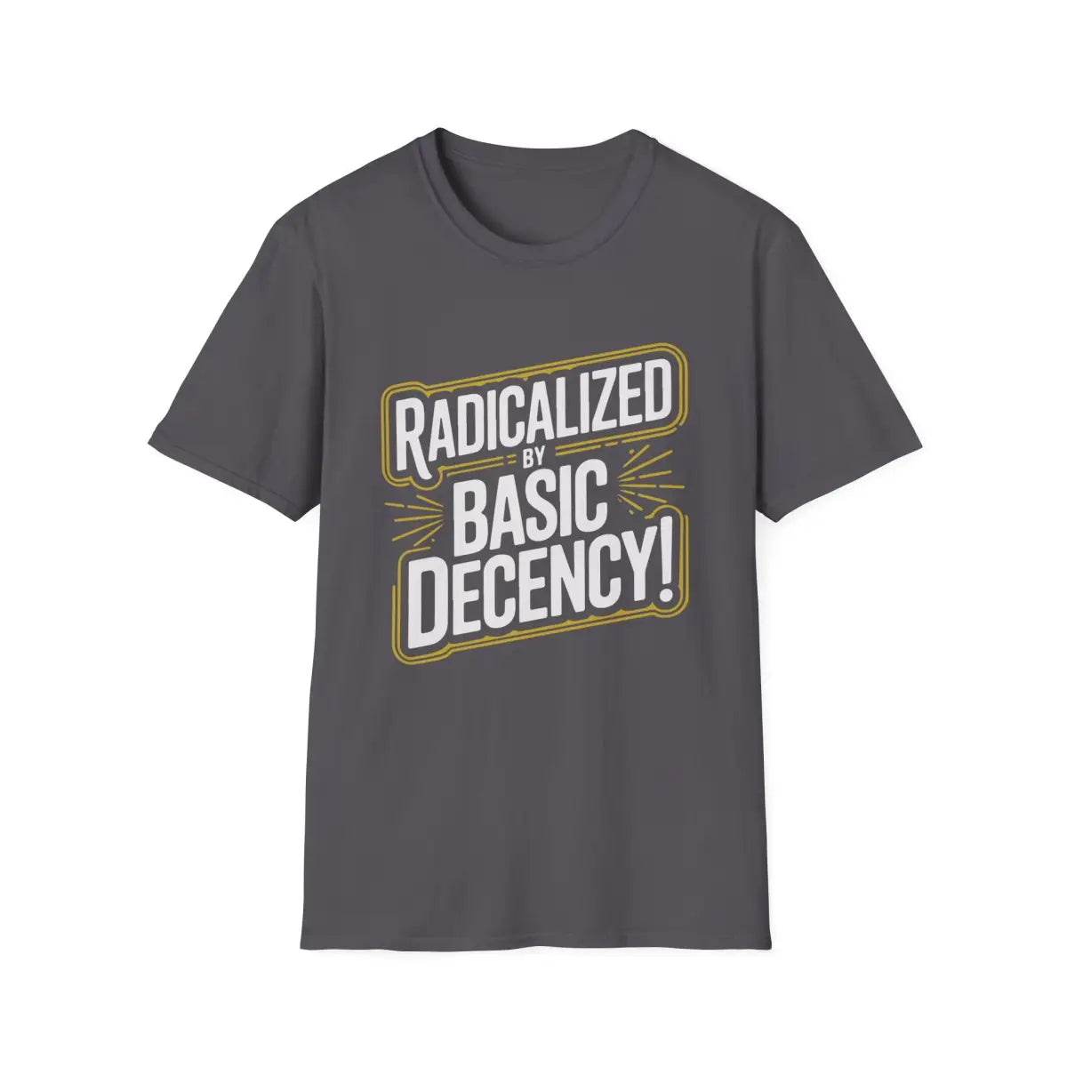 Radicalized by Basic Decency T-Shirt - Pilot gifts - WWII warbird t-shirt