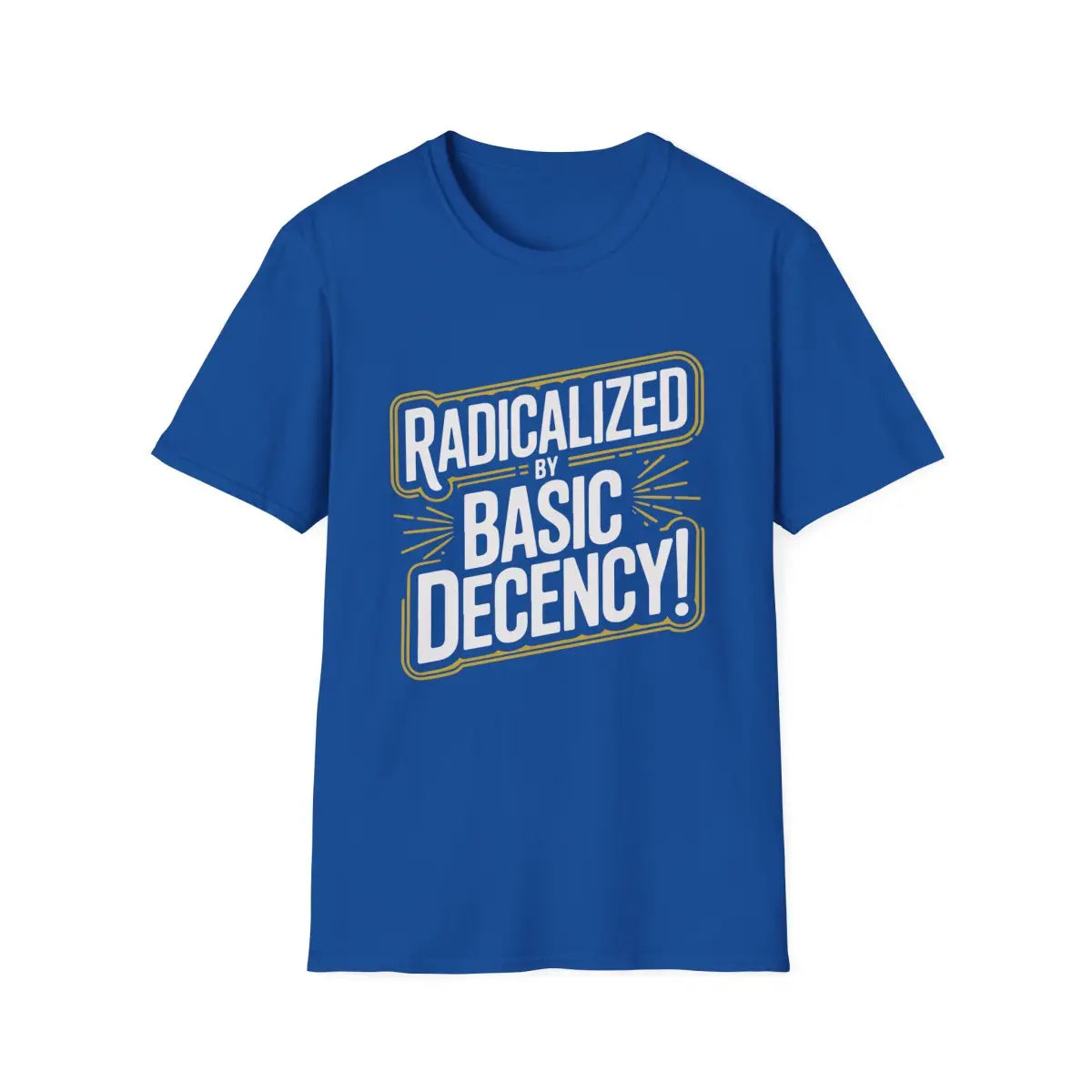 Radicalized by Basic Decency T-Shirt - Pilot gifts - WWII warbird t-shirt