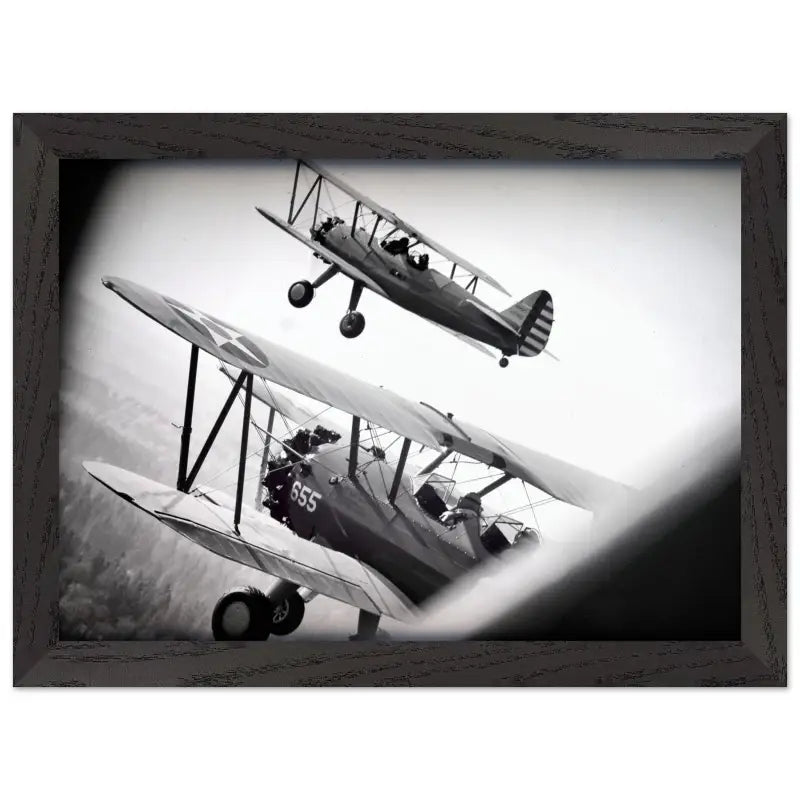 Through the Struts: Twin Stearman Over Valley (Black & White) - Print Material - Gifts for pilots - Aviation apparel