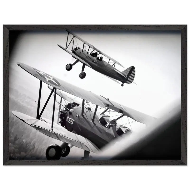 Through the Struts: Twin Stearman Over Valley (Black & White) - Print Material - Gifts for pilots - Aviation apparel