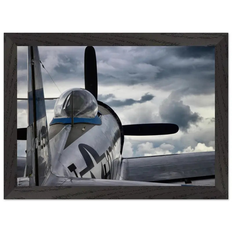 Thunder Overhead: Republic P-47D and the Storm - Print Material - Gifts for pilots - Aviation apparel