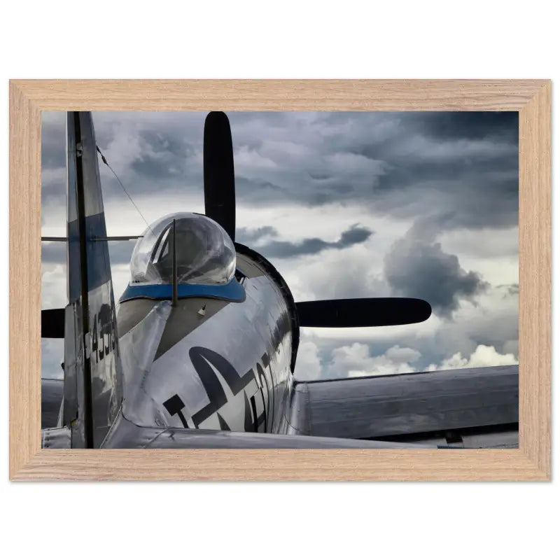 Thunder Overhead: Republic P-47D and the Storm - Print Material - Gifts for pilots - Aviation apparel