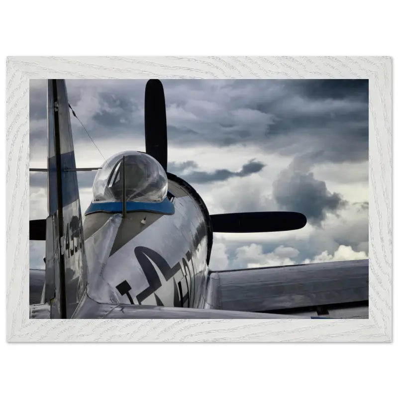 Thunder Overhead: Republic P-47D and the Storm - Print Material - Gifts for pilots - Aviation apparel