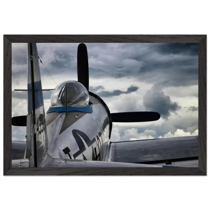 Thunder Overhead: Republic P-47D and the Storm - Print Material - Gifts for pilots - Aviation apparel