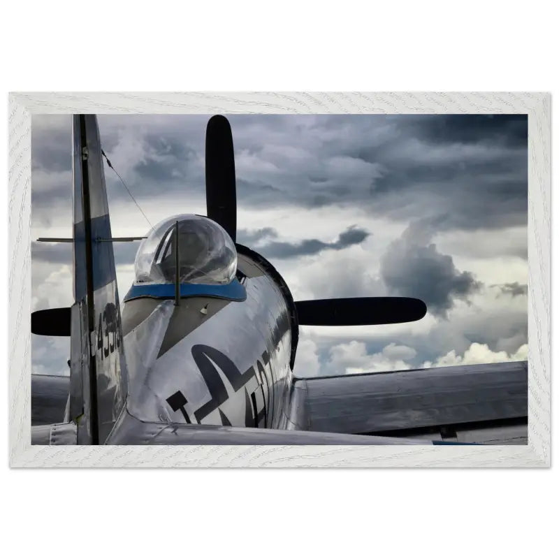 Thunder Overhead: Republic P-47D and the Storm - Print Material - Gifts for pilots - Aviation apparel