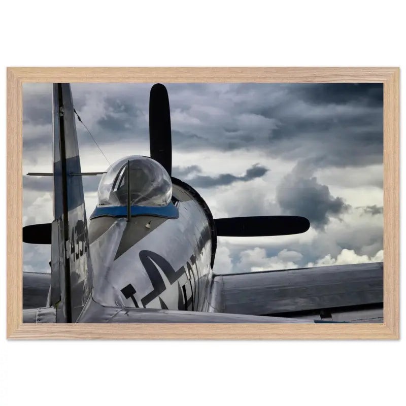 Thunder Overhead: Republic P-47D and the Storm - Print Material - Gifts for pilots - Aviation apparel
