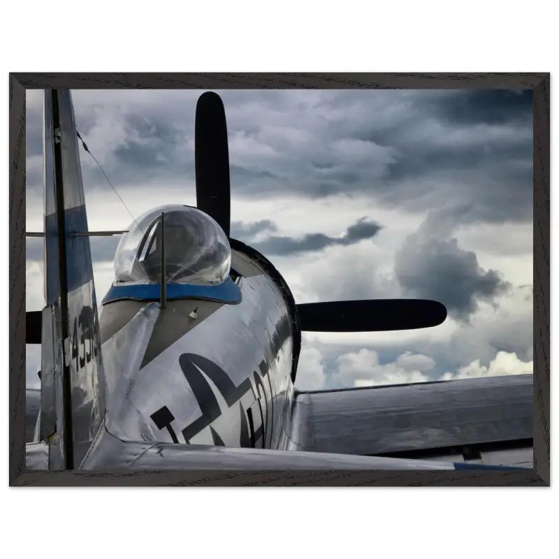 Thunder Overhead: Republic P-47D and the Storm - Print Material - Gifts for pilots - Aviation apparel