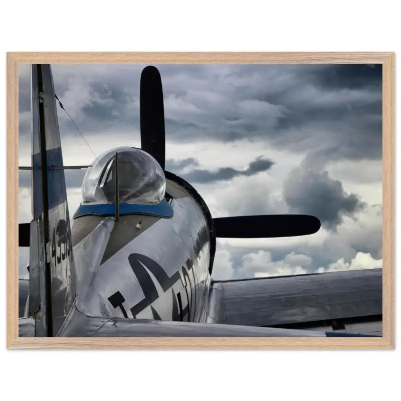 Thunder Overhead: Republic P-47D and the Storm - Print Material - Gifts for pilots - Aviation apparel