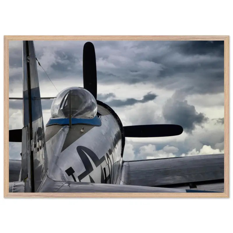 Thunder Overhead: Republic P-47D and the Storm - Print Material - Gifts for pilots - Aviation apparel