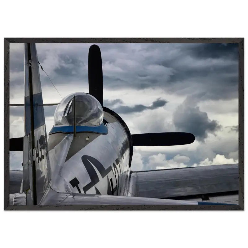 Thunder Overhead: Republic P-47D and the Storm - Print Material - Gifts for pilots - Aviation apparel