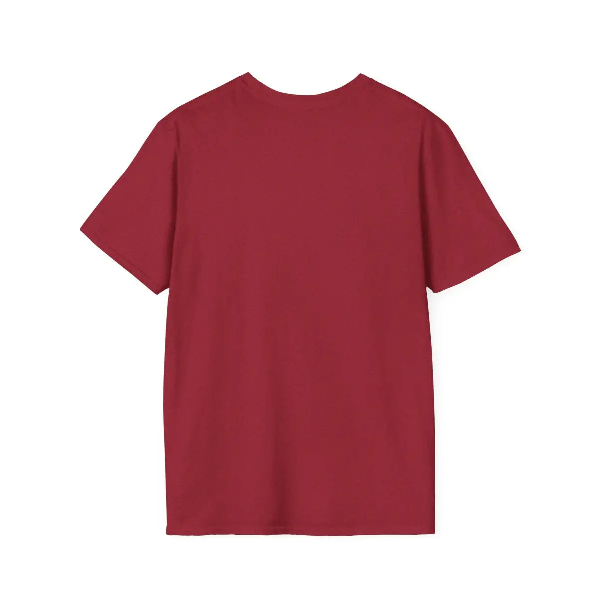 TPA Tampa International - 1928 - Tee - T-Shirt - Gifts for pilots - Aviation apparel