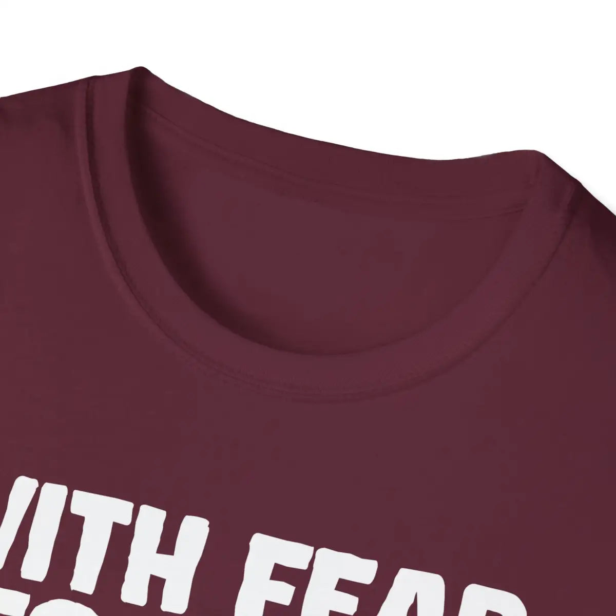 With Fear For Our Democracy - Flag - T-Shirt - Pilot gifts - WWII warbird t-shirt