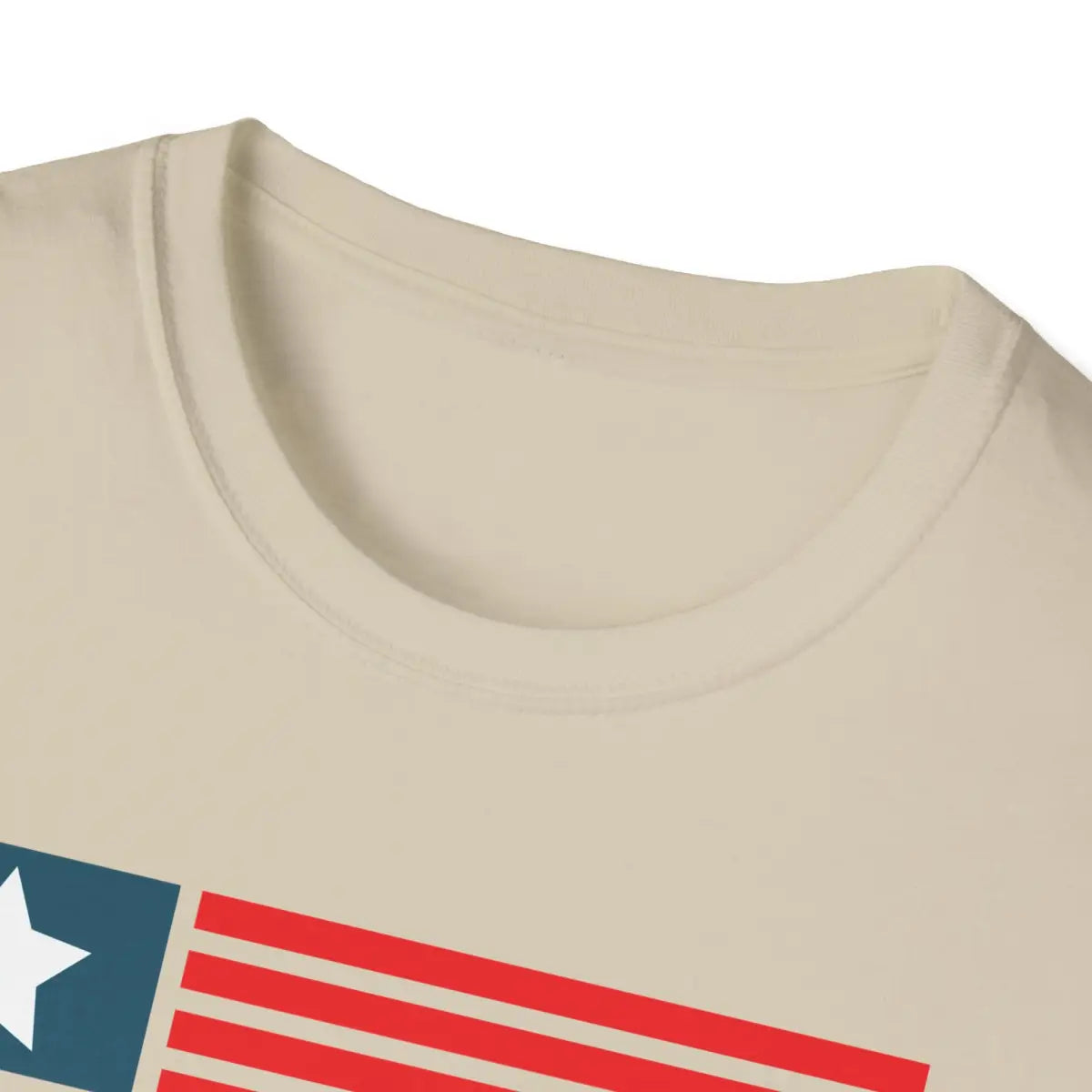 With Fear For Our Democracy I Dissent - T-Shirt - Pilot gifts - WWII warbird t-shirt