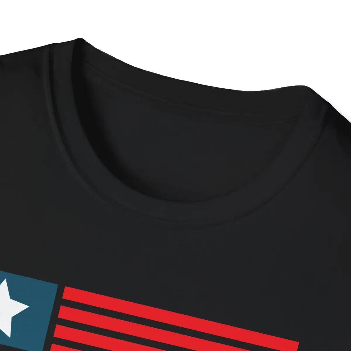 With Fear For Our Democracy I Dissent - T-Shirt - Pilot gifts - WWII warbird t-shirt