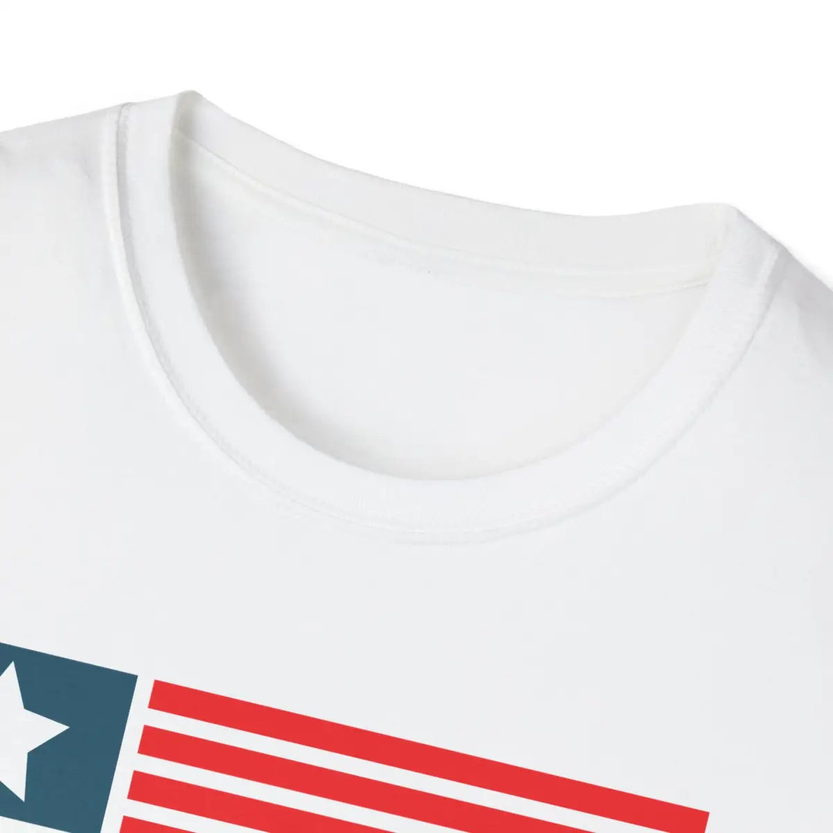 With Fear For Our Democracy I Dissent - T-Shirt - Pilot gifts - WWII warbird t-shirt