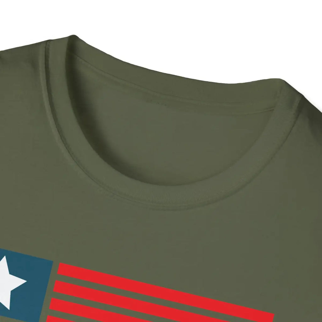 With Fear For Our Democracy I Dissent - T-Shirt - Pilot gifts - WWII warbird t-shirt